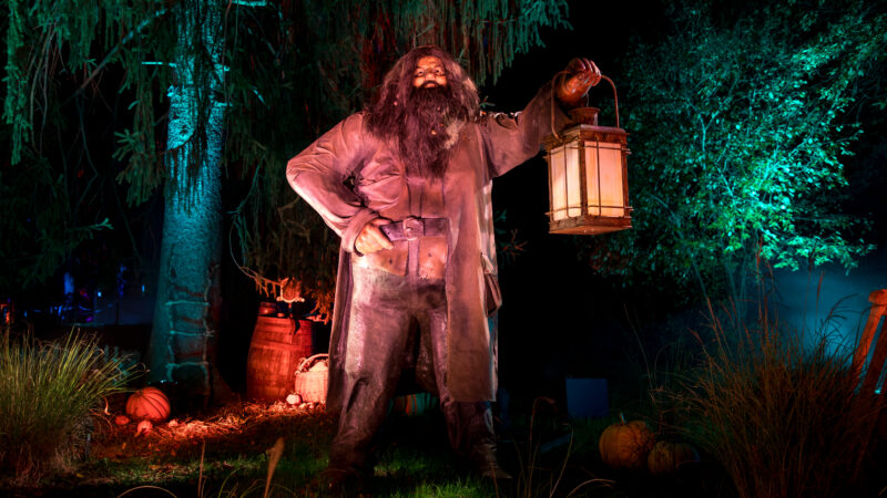 “Harry Potter: A Forbidden Forest Experience” llega a Chile: el Bosque Prohibido aterriza en Santiago con un recorrido mágico e inmersivo