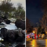 Genera debate el corte de árboles en la Plaza de Armas de Coronel durante su proceso de remodelación