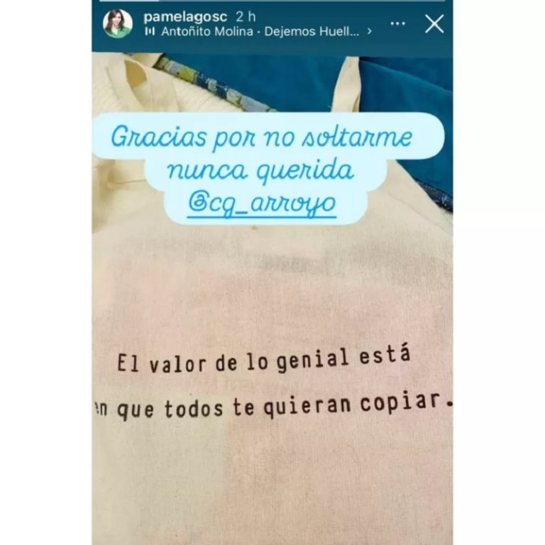 Pamela Lagos emociona al revelar el apoyo de Carmen Gloria Arroyo durante su tratamiento contra el cáncer: “Ella está” 1 image 2