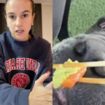 Influencer chilena Josefa Sáez genera polémica tras darle wasabi a su perro: veterinario advierte sobre los riesgos para las mascotas