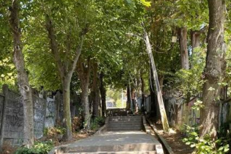 Comienzan trabajos de tala en Escalera Los Tilos de Lota tras accidente donde rama cayó sobre menor de 14 años 5 subida los tilo lota