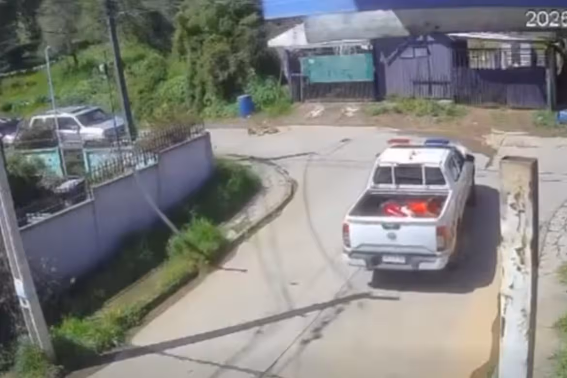 Video genera cuestionamientos en Lota: vehículo municipal quedó registrado pasando sobre un perro en Colcura 3