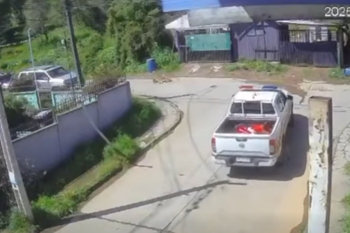 Video genera cuestionamientos en Lota: vehículo municipal quedó registrado pasando sobre un perro en Colcura 4