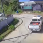 Video genera cuestionamientos en Lota: vehículo municipal quedó registrado pasando sobre un perro en Colcura