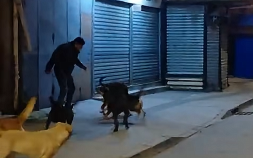 Registro de madrugada reabre preocupación por seguridad en Lota tras episodio con sujeto armado y perros