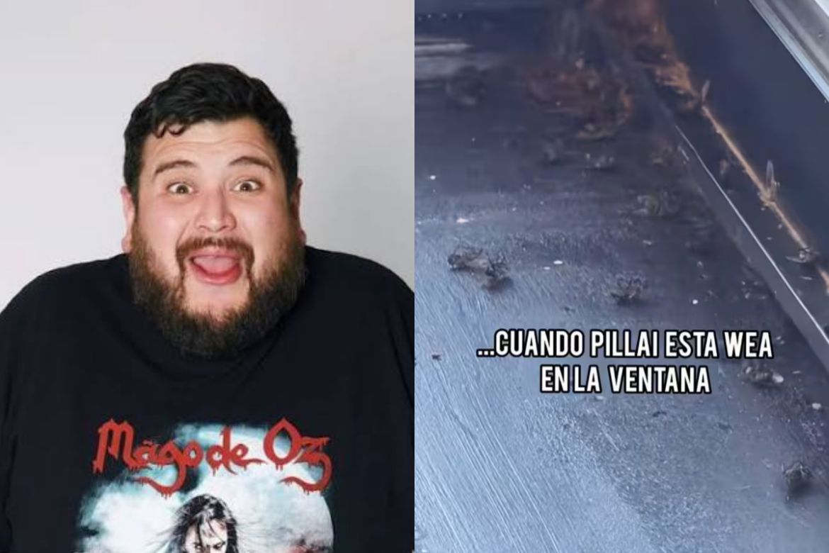 Restaurante de Tumbes reconoce error tras viral denuncia de Otakin por presencia de moscas