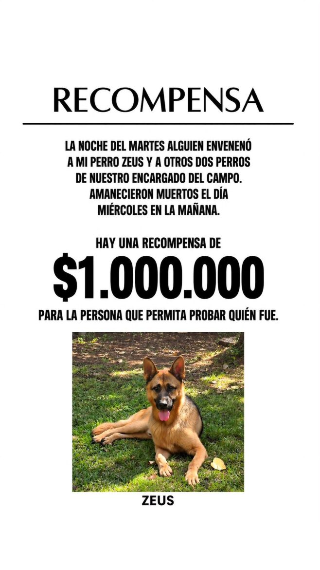 Kel Calderón ofrece $1 millón para esclarecer la muerte de su perro Zeus 1