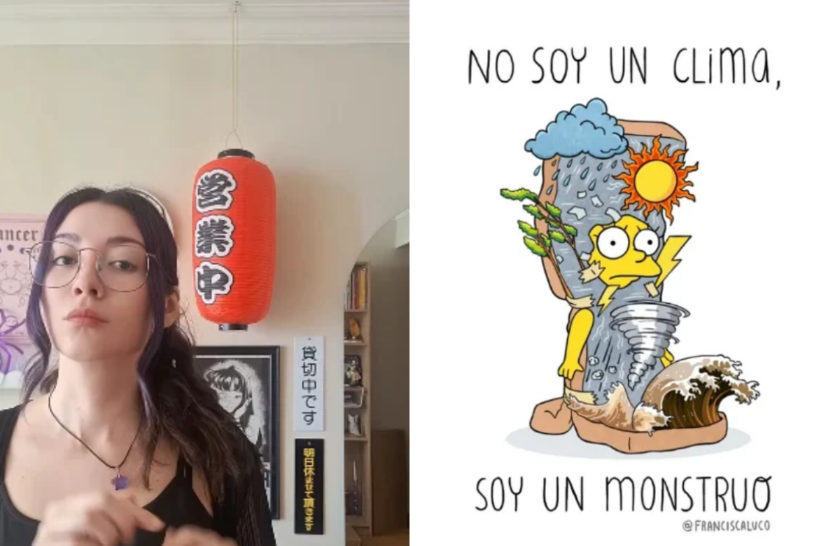 Francisca Luco denuncia uso de su ilustración sin créditos y NDR Radio termina pidiendo disculpas públicas 4